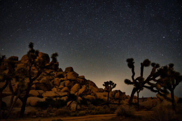 istock Perseid Meteor Shower 2021- Joshua Tree 1340634840