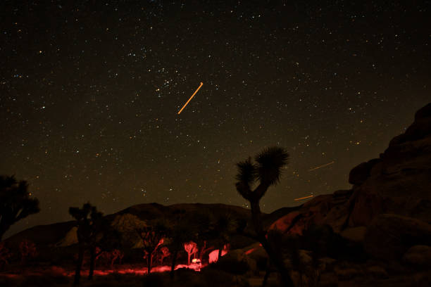 istock Perseid Meteor Shower 2021- Joshua Tree 1340634960