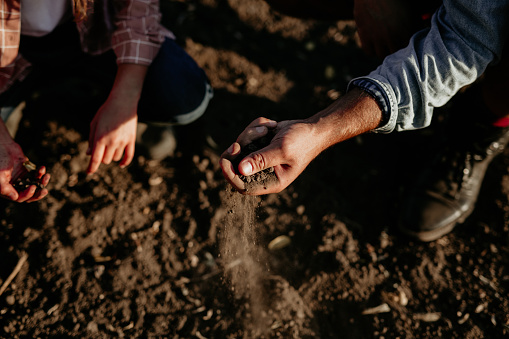 Unrecognizable Father's hand giving soil to a child for planting together in vintage color tone.