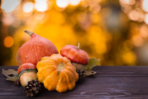 jesienne tło dyń na drewnianej brązowej desce., dephocused bokeh tło. szablon święta dziękczynienia i halloween - procession panel zdjęcia i obrazy z banku zdjęć