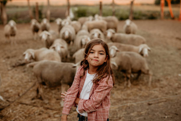 istock Kid love her flock of sheep 1340638462