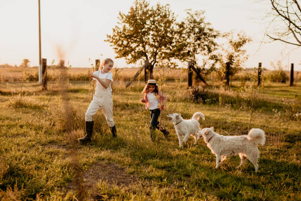 istock Young girls and their dogs 1340639120