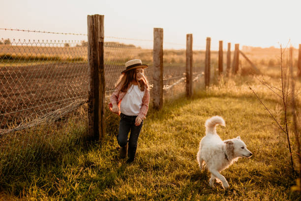 istock Kid walking in nature, playing in sunset 1340639200