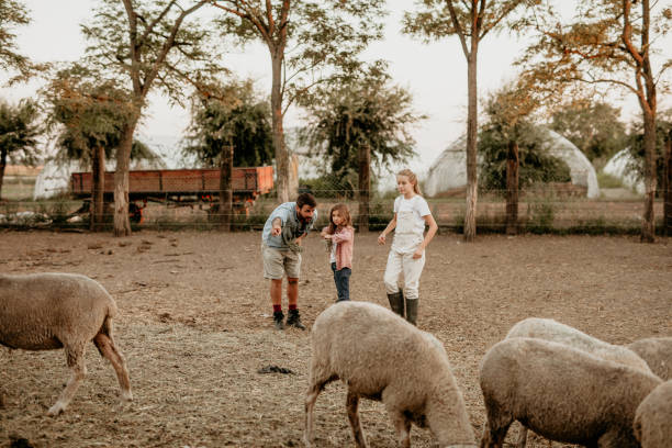 istock Farmer learning his kids how to approach animals 1340639305