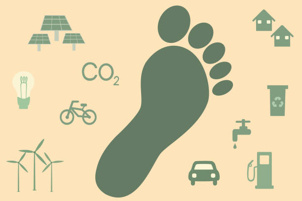 ilustrações, clipart, desenhos animados e ícones de conceito de pegada de carbono com ícones ambientais e ícone do pé humano - recycling carbon footprint footprint sustainable resources