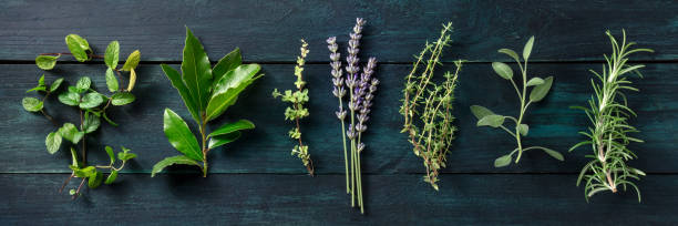 istock Fresh aromatic herbs, overhead flat lay panorama on a dark rustic background 1340644338