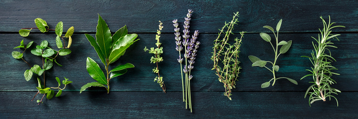 Fresh aromatic herbs, overhead flat lay panorama on a dark rustic wooden background. Rosemary, lavender, bay leaf, thyme, sage, and others