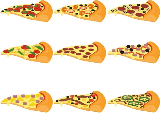 Vector illustration of Pizza slices types with different toppings collection vector illustration
