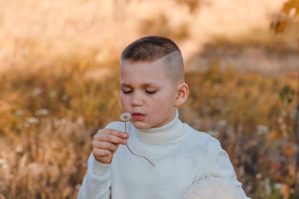 short-haired boy blows dandelion in autumn