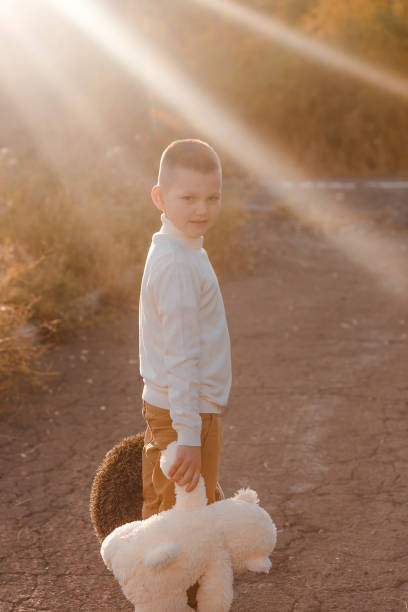child with a soft toy in backlight in autumn
