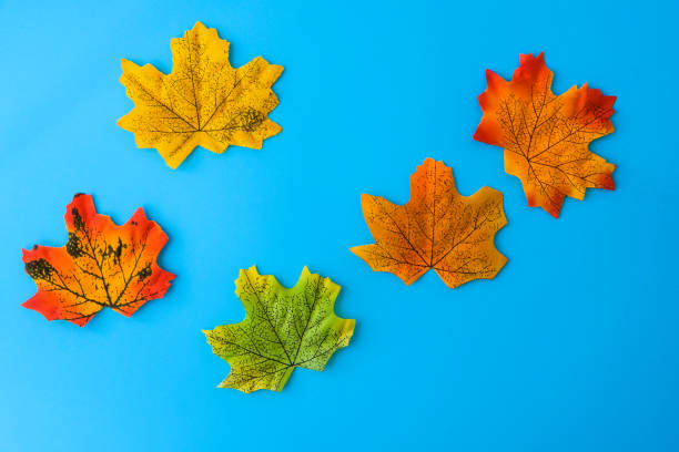 istock Maple leaf with painted face as decoration for autumn Halloween holiday celebration. Halloween party in October. Holiday Diy preparation. Step by Step 1340649015