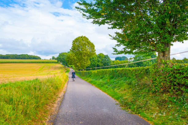 istock Fields and trees in a green hilly grassy landscape under a blue sky in sunlight in summer 1340652843