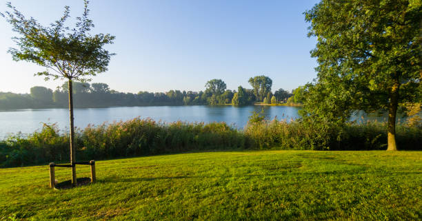 istock Walk through the park in the morning 1340654042
