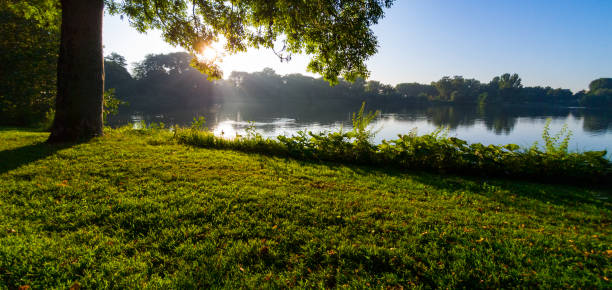 istock Walk through the park in the morning 1340654070