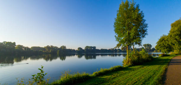 istock Walk through the park in the morning 1340654081