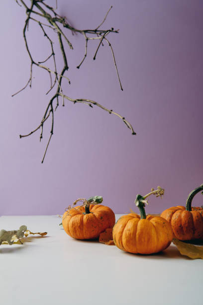istock Thanksgiving or Halloween concept small oranges pumpkins 1340654147