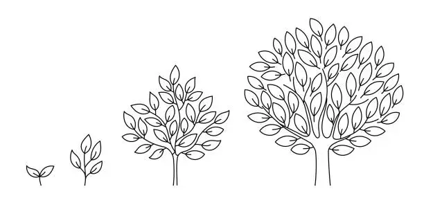 Vector illustration of Tree growth stages. Seedling development stage. Animation progression. Business cycle development infographic. Vector contour line. Open paths. Editable stroke. Plant life process.