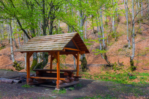 istock small wooden house in a forest 1340654452