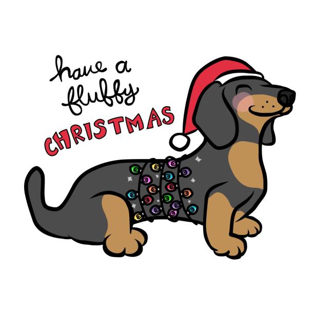 ilustrações de stock, clip art, desenhos animados e ícones de dachshund dog have a fluffy christmas cartoon vector illustration - dachshund hot dog dog smiling