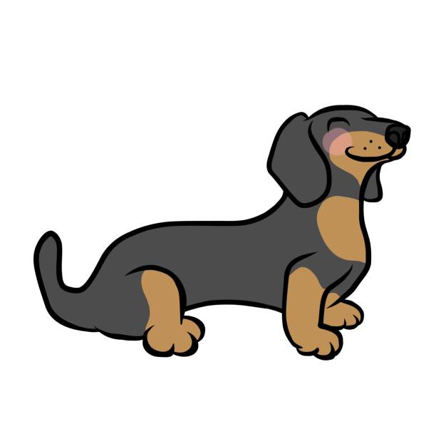 jamnik pies kreskówka ilustracja wektorowa - dachshund hot dog dog smiling stock illustrations