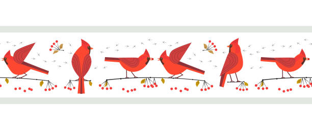 illustrazioni stock, clip art, cartoni animati e icone di tendenza di rosso cardinale uccelli carino bordo vettoriale senza soluzione di continuità - cardinale uccello