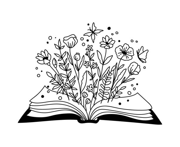 blumenbuch isoliert clipart, geöffnetes buch und wildblumen boho dekorative komposition, blumen gänseblümchen strauß und buyyerfly - schwarz-weiß vektor illustration - wildflower stock-grafiken, -clipart, -cartoons und -symbole