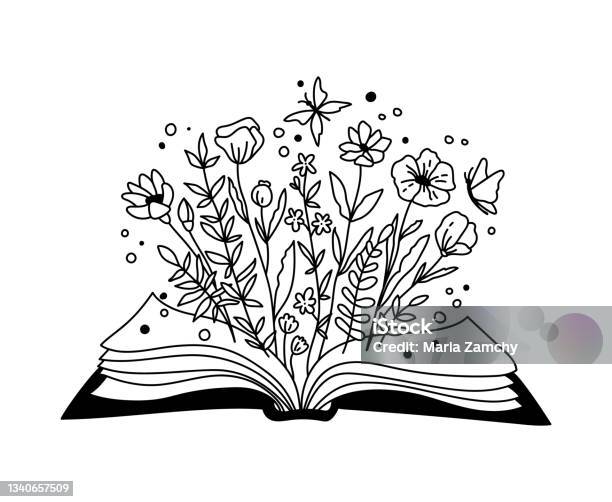 Floral Book Isolated Clipart Opened Book And Wildflowers Boho Decorative Composition Flower Daisy Bouquet And Buyyerfly Black And White Vector Illustration Stock Illustration - Download Image Now