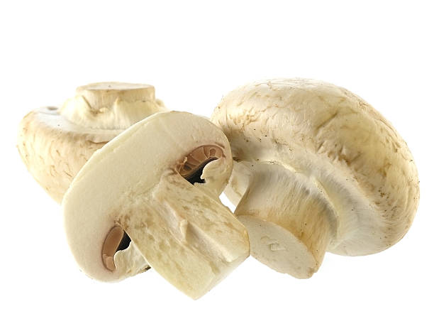 champignon frescas - foto de stock