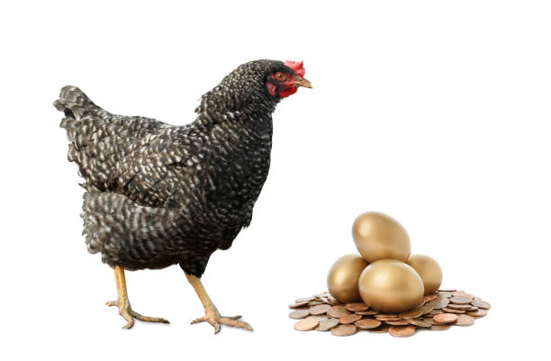 istock Chicken, golden eggs and coins on white background 1340659723