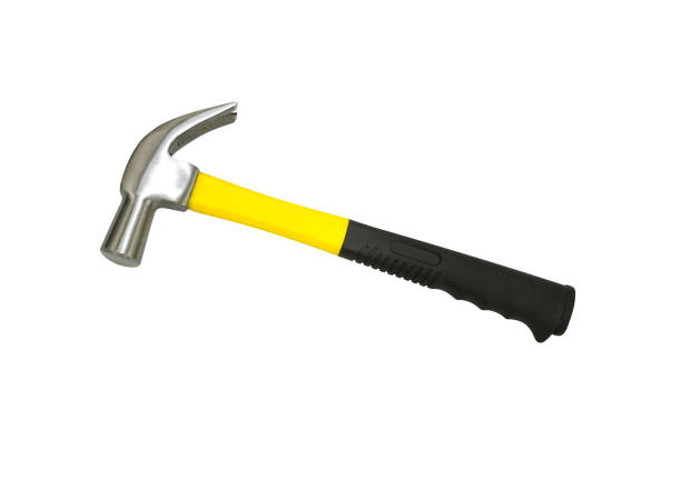 istock yellow hammer isoladet on white background 1340662196