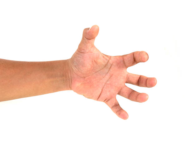 istock Male hand holding something isolated on a white background. 1340662564