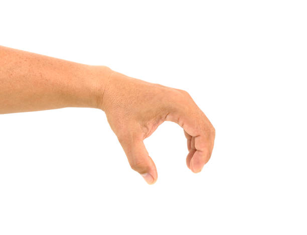 istock Male hand holding something isolated on a white background. 1340663246