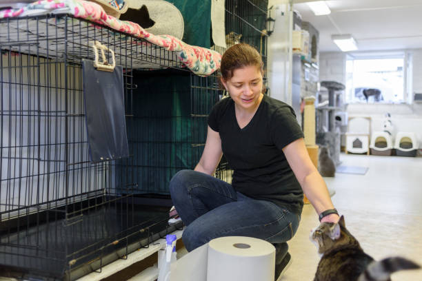 Volunteer cleaning carrier in cat shelter