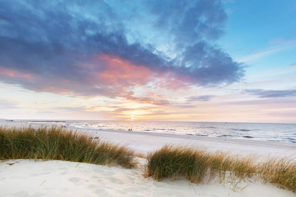 istock Beach grass on dune, Baltic sea at sunset 1340663872