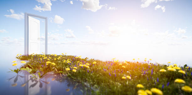 Green grass way to open door on sunny sky. Hope, new life, change concept.