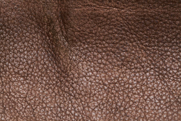 istock old worn dark brown Nubuck leather macro background 1340668442