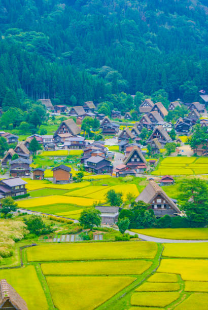 Shirakawa-go skyline (Takayama, Gifu Prefecture) Shirakawa-go skyline (Takayama, Gifu Prefecture). Shooting Location: Gifu Prefecture gifu prefecture stock pictures, royalty-free photos & images