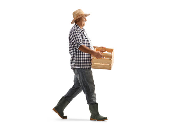 foto de perfil de cuerpo entero de un granjero maduro que lleva una caja y camina - box men holding isolated fotografías e imágenes de stock