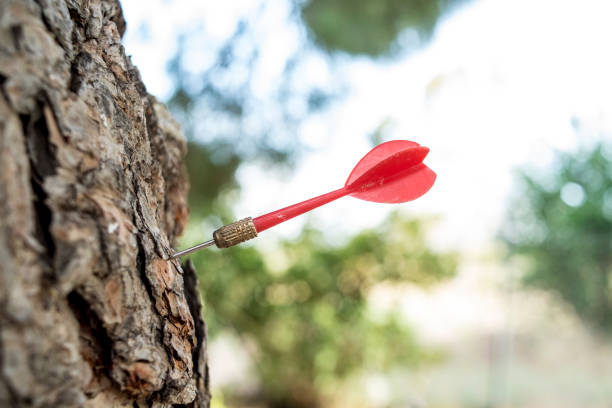 istock Toy dart stuck in a tree trunk 1340676693