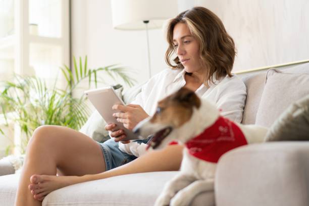 istock Happy beautiful woman with dog using digital tablet on sofa at home. 1340679873