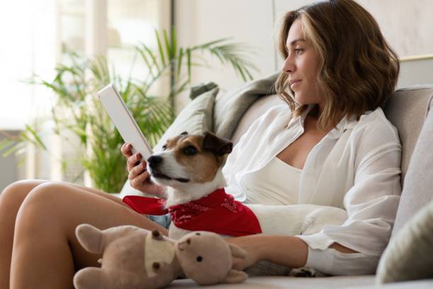 istock Happy beautiful woman with dog using digital tablet on sofa at home. 1340679874