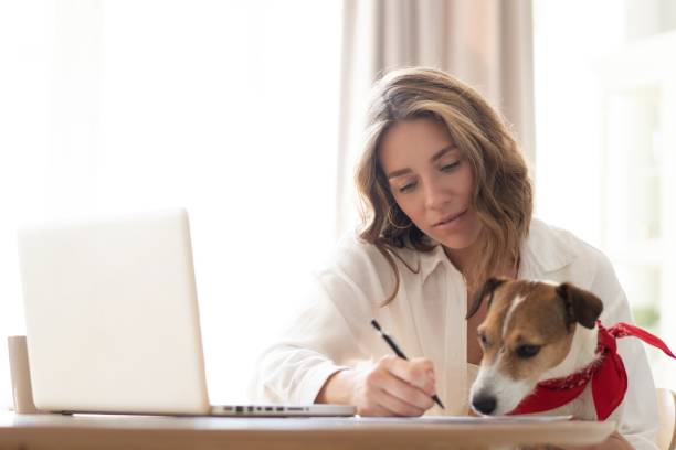 linda jovem com cachorro bonito trabalhando no laptop em casa. - relaxation working humor sofa - fotografias e filmes do acervo