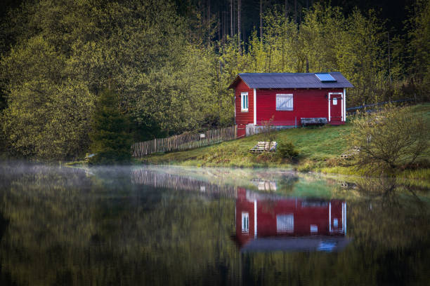 istock At a lake in the Harz Mountains 1340680592