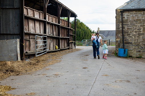 A rear wide-view shot of a mother and her two young daughters walking together along their farm in North East, England.