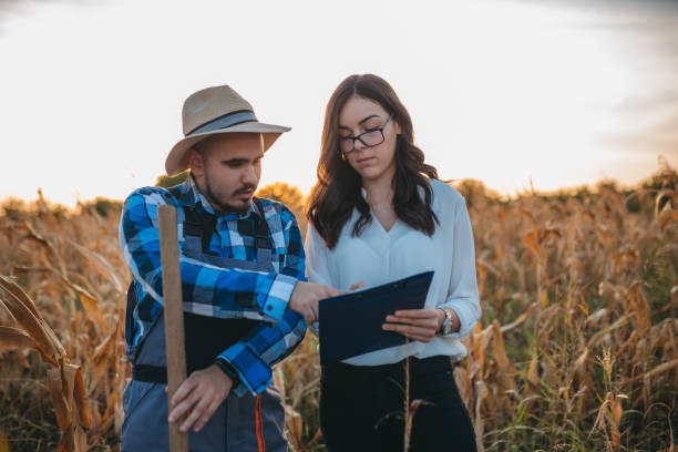 istock The female controls the crops and conditions for growing corn. 1340688737