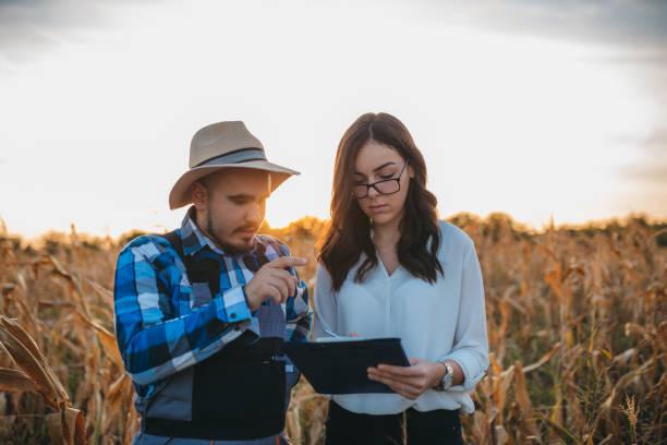 istock The female controls the crops and conditions for growing corn. 1340688740