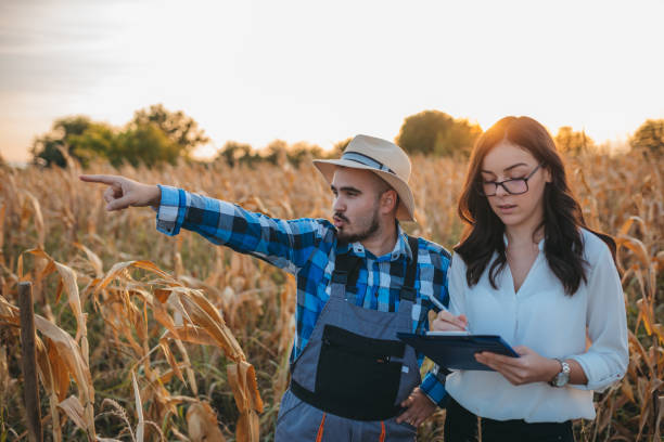 istock The female controls the crops and conditions for growing corn. 1340688744