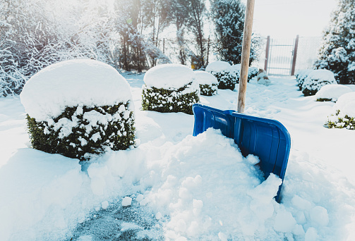 Cold snowy winter - blue shovel removing snow from the paver path outdoor. Private property garden around.