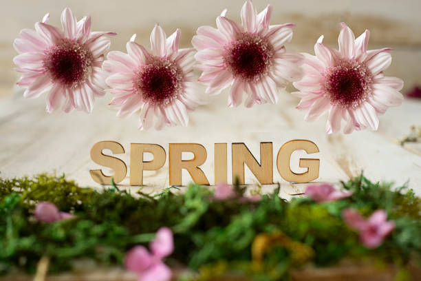 la palabra primavera hecha de letras de madera sobre una hierba verde rodeada de flores en un jardín - equinoccio de primavera fotografías e imágenes de stock