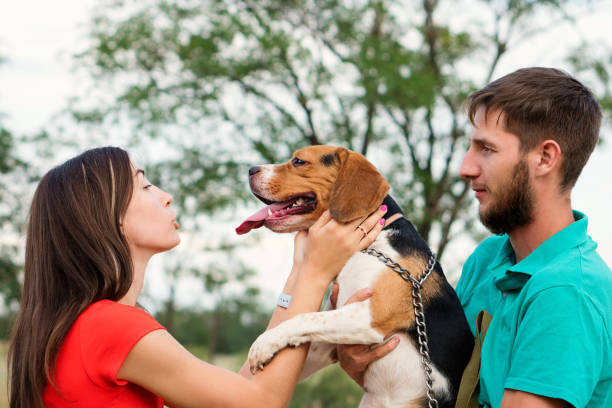 istock Loving owners walk dog outdoors 1340697127